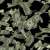 LockBit Hacked: Ransomware Gang’s Secrets Exposed